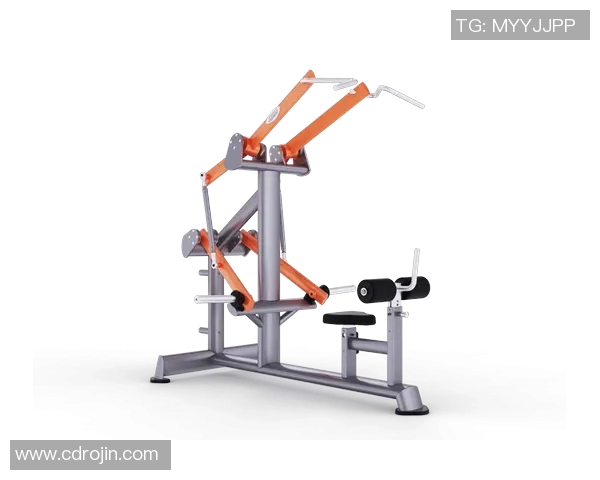 练背健身器材：专为背部训练设计的健身器材推荐