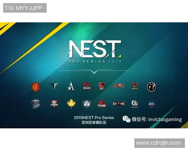 CSGO战术解析：深入了解IG战队的灵活应变能力与战术创新